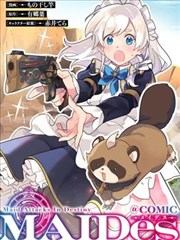 账本先生